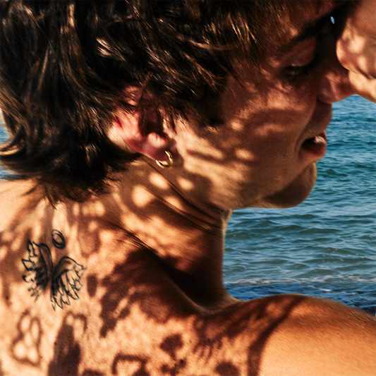 Second Wind Digital Album